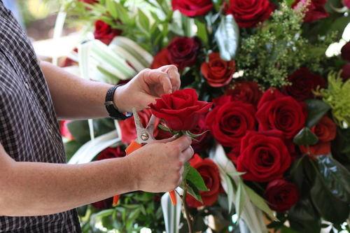 玫瑰帮,揭秘神秘帮派背后的传奇故事