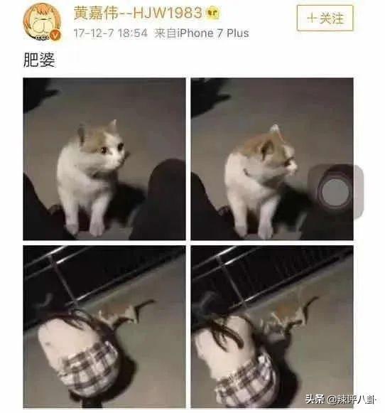 爆甩渣男，三个哥哥团宠我（甩掉渣男后我被三个哥哥宠上天）,我被三个哥哥团宠至极