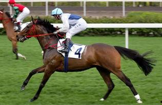 马匹与刽子手 第一季,第一季：生死边缘的传奇对决