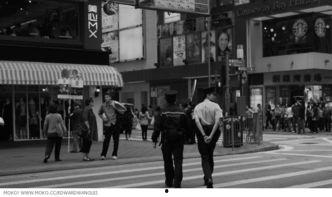 情陷港城,探寻海滨城市的浪漫魅力与独特风情